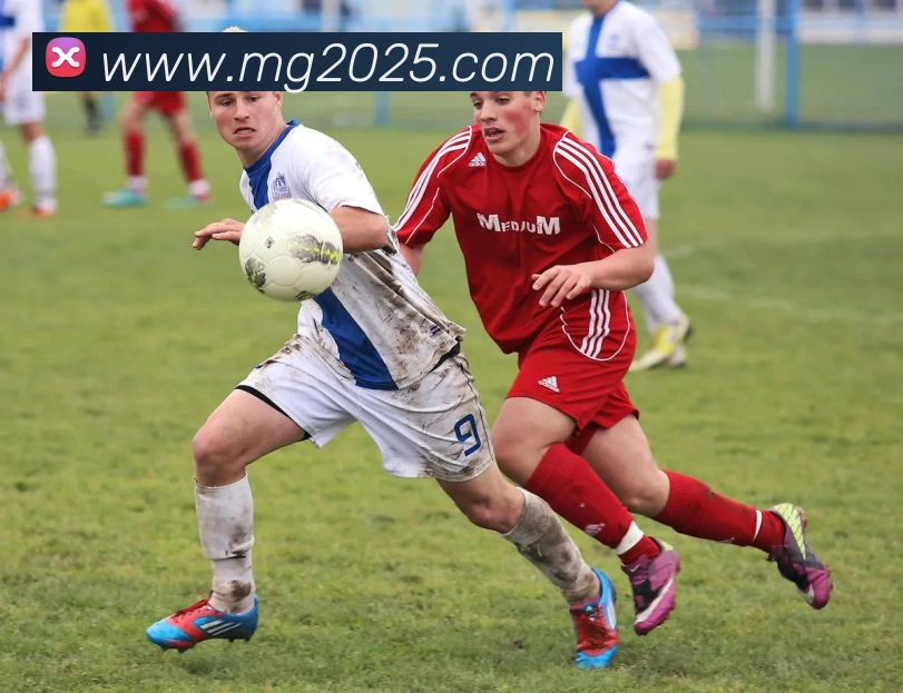 App Interface Preview