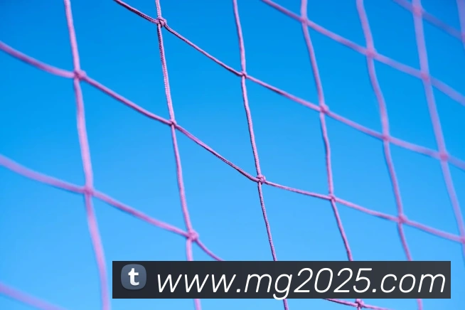 MG冰球突破APP 封面图